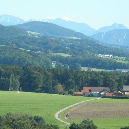 Landgasthof Franz Josef Strasswalchen Zewnętrze zdjęcie