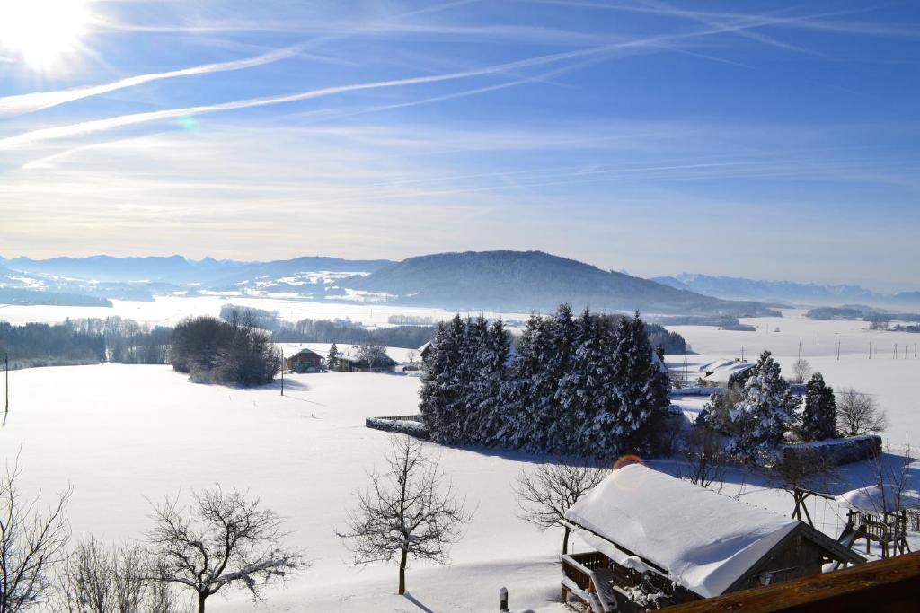 Landgasthof Franz Josef Strasswalchen Pokój zdjęcie